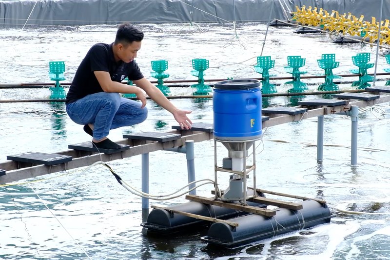 Thợ FarmX ngồi trên cầu ván chỉnh máy cho tôm ăn A30 phễu inox, hai bên là dàn quạt nước cánh xanh