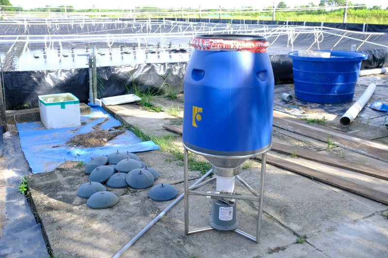 Máy cho tôm ăn FarmX A50 phễu inox thùng xanh lắp xong đặt cạnh bờ ao bạt, nhìn chếch thấy cả khung inox và đĩa rải, xưởng FarmX Đầm Dơi Cà Mau