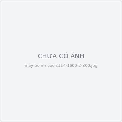 Đầu bơm nước FarmX C114 thân inox 304, cổ hút trên và cổ xả ngang sơn xanh, nhìn từ góc chếch bên