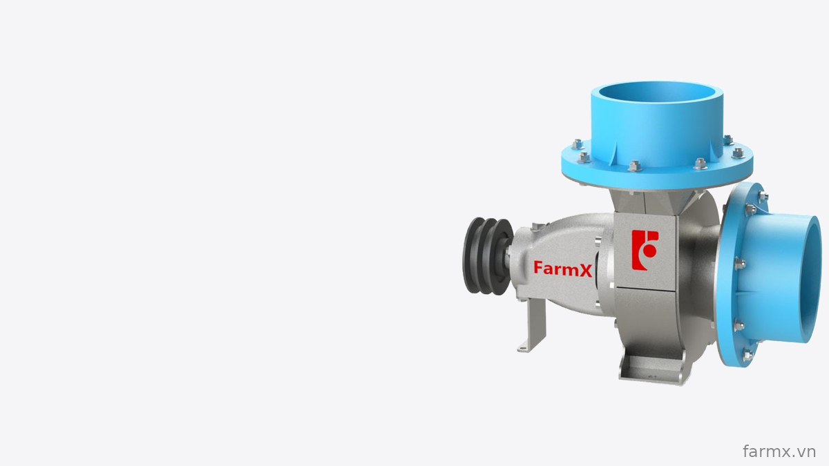 Đầu bơm nước FarmX C168 thân inox 304 nhìn chéo, cổ hút và cổ xả sơn xanh bắt bích, puly đôi bên trái