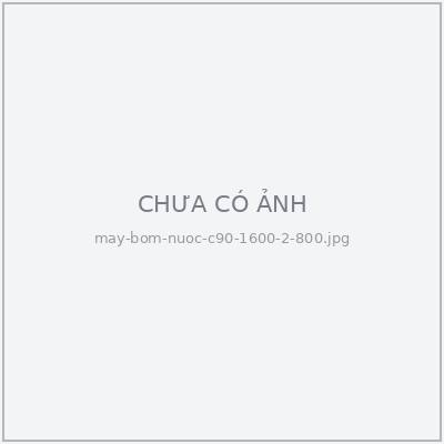 Đầu bơm nước FarmX C90 thân inox 304, cổ hút và cổ xả sơn xanh, nhìn từ góc chếch bên